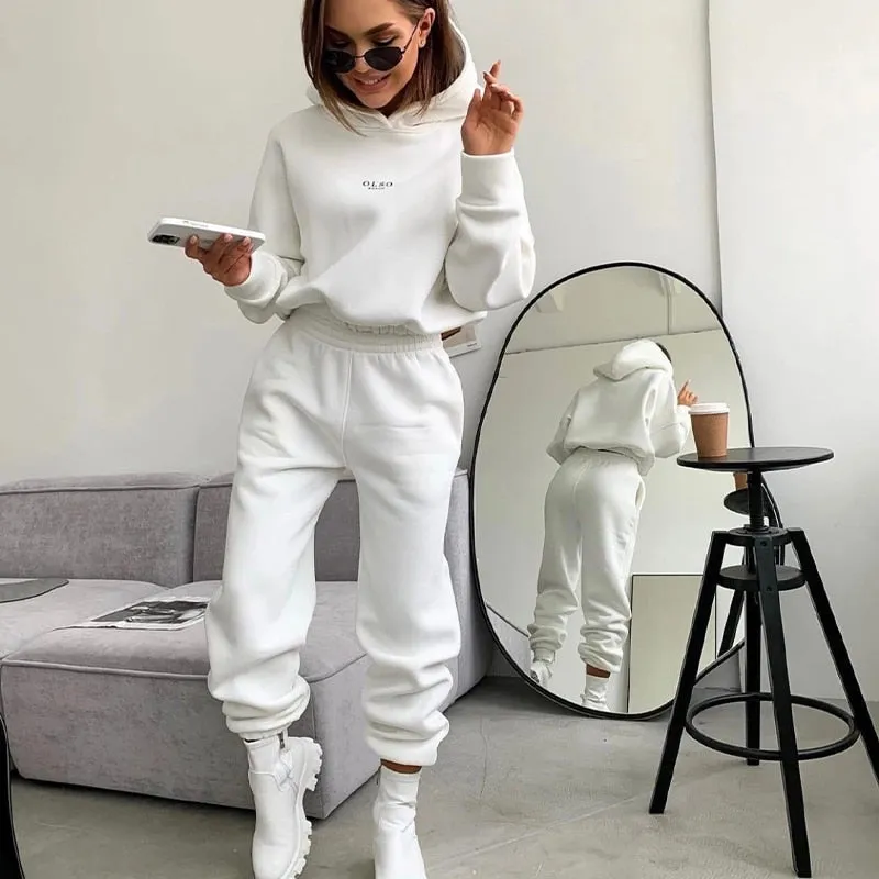 Warm Tracksuit Sports Women Two Piece Set 2022 Leisure Solid Long Sleeve Hooded Top Elastic Waist Pant Woman Winter Suit Jogging